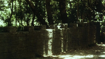 Beings (1998) download