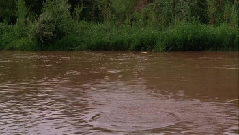 Benefit of the Doubt (1993) download