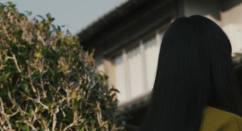 Best Wishes to All (2022) download