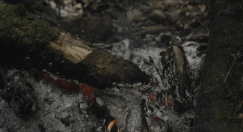 Between Dog and Wolf (2020) download