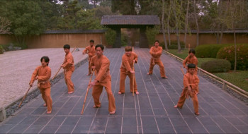 Beverly Hills Ninja (1997) download