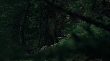 Beyond Prognosis (2024) download