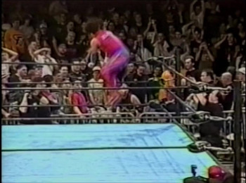 Beyond the Mat (1999) download