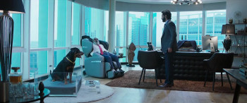 Bhediya (2022) download