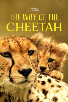 Big Cat Week The Way of the Cheetah (2022) download