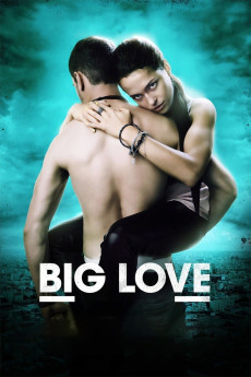 Big Love (2012) download