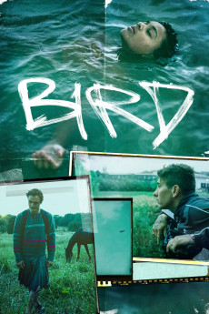 Bird (2024) download