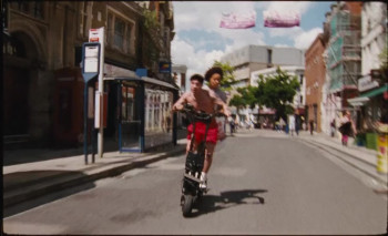 Bird (2024) download