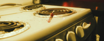 Birds at Night (2023) download