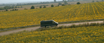 Black Lotus (2023) download