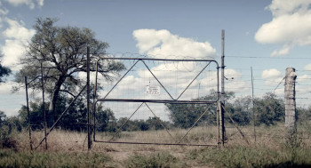 Black Mambas (2022) download