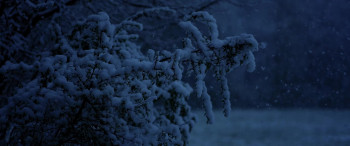 Black Panthers of WWII (2025) download