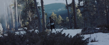 Black Wood (2022) download