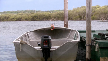 Blackwater (2007) download