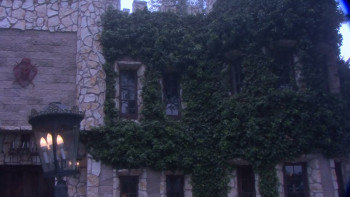 Blood Scarab (2008) download