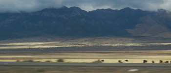 Boomtown (2017) download