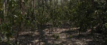 Border 2 (2026) download