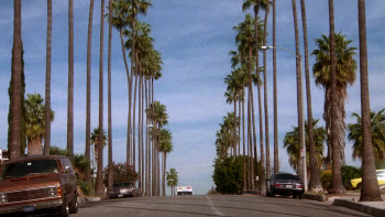 Brain Donors (1992) download