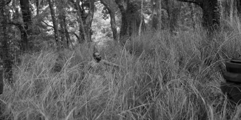 Bramayugam (2024) download