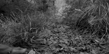 Bramayugam (2024) download