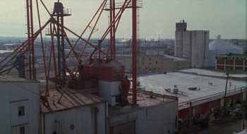 Breakfast of Champions (1999) download