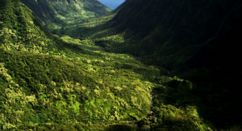 Breath of Life (2014) download