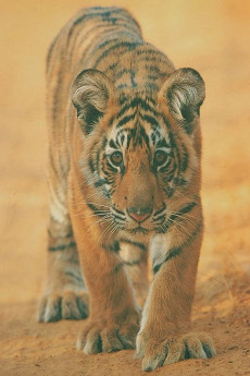 Broken Tail (2010) download