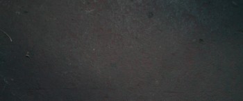 Brothers' Nest (2018) download