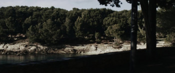 C.L.E.A.N. (2020) download