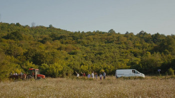 C Takimi 2 (2025) download