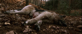 Cabin Fever (2002) download