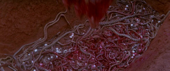 Calamity of Snakes (1982) download