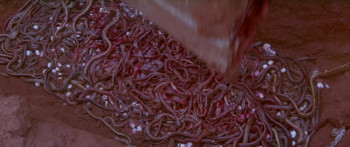 Calamity of Snakes (1982) download