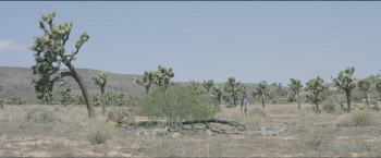 Calypso (2019) download