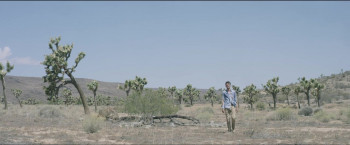 Calypso (2019) download