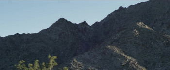 Calypso (2019) download