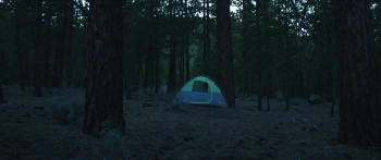 Captive (2020) download