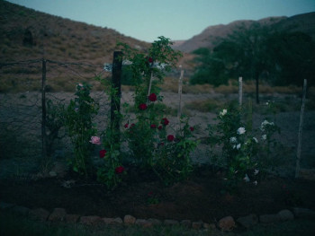 Carissa (2024) download