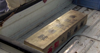 Casting Blossoms to the Sky (2012) download