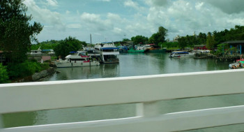 Changeland (2019) download