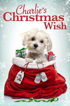 Charlie's Christmas Wish (2020) download