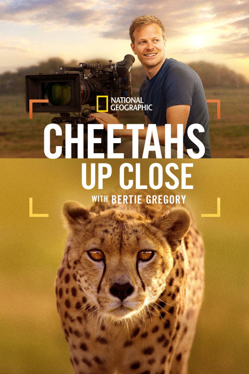 Cheetahs Up Close with Bertie Gregory (2026) download