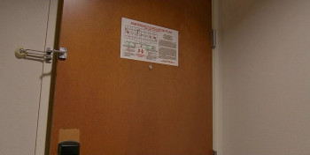 Cherry Bomb (2024) download