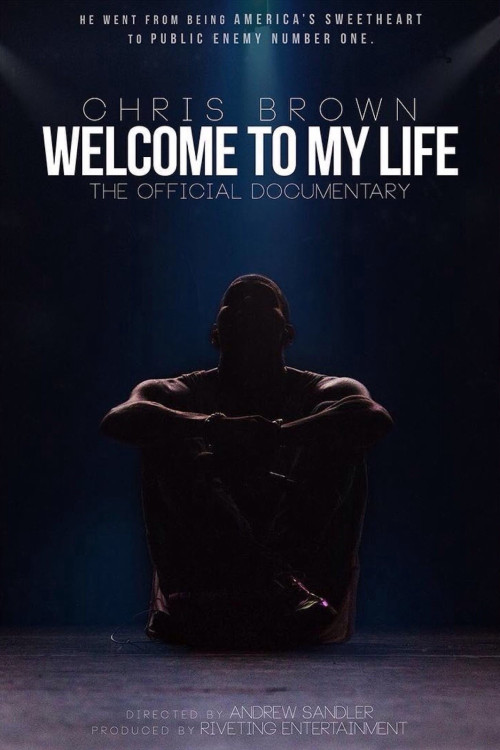 Chris Brown: Welcome To My Life (2017) download