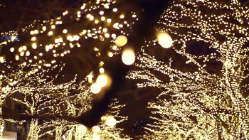 Christmas with the Knightlys (2023) download