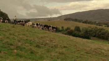 Cliffy (2013) download