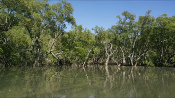 Climate Changers (2023) download