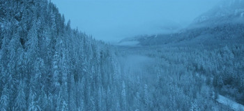 Cold Meat (2023) download