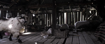 Cold of Kalandar (2015) download