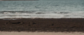 Cold Void (2017) download